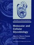 Cover: Molecular and Cellular Glycobiology - Oxford University Press