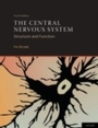 Bild: Central Nervous System - Oxford University Press, USA