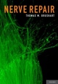 Cover: Nerve Repair - OUP eBook