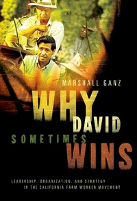 Enlarge image Cover: Why David Sometimes Wins - OUP eBook