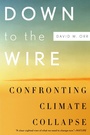 Cover: Down to the Wire - OUP USA