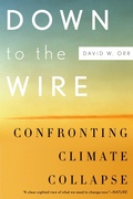 Cover: Down to the Wire - OUP USA