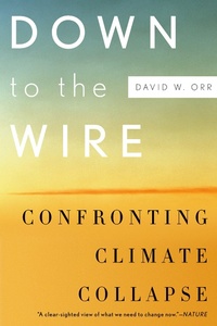 Enlarge image Cover: Down to the Wire - OUP USA
