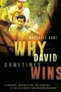 Cover: Why David Sometimes Wins - Oxford University Press Inc