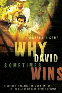 Enlarge image Cover: Why David Sometimes Wins - Oxford University Press Inc