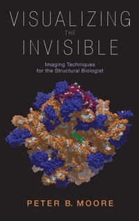 Enlarge image Cover: Visualizing the Invisible - Oxford University Press Inc