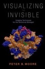 Cover: Visualizing the Invisible - OUP eBook