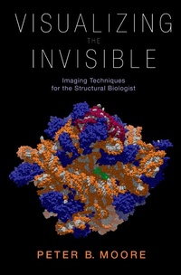 Enlarge image Cover: Visualizing the Invisible - OUP eBook