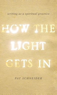 Enlarge image Cover: How the Light Gets In - Oxford University Press Inc