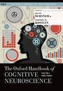 Bild: The Oxford Handbook of Cognitive Neuroscience - Oxford University Press Inc