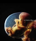 Cover: A Child is Born - Jonathan Cape