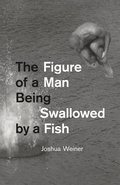 Cover: The Figure of a Man Being Swallowed by a Fish - University of Chicago Press