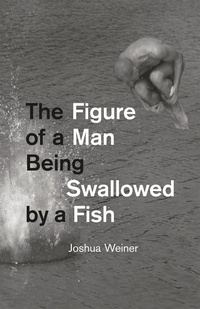 Enlarge image Cover: The Figure of a Man Being Swallowed by a Fish - University of Chicago Press