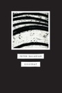 Cover: Ziggurat - University of Chicago Press