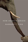 Cover: How Animals Grieve - University of Chicago Press