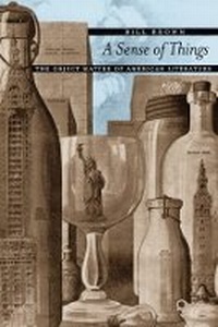 Enlarge image Cover: A Sense of Things - University of Chicago Press