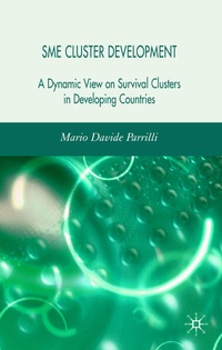 Enlarge image Cover: SME Cluster Development - Palgrave Macmillan