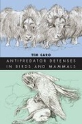 Cover: Antipredator Defenses in Birds and Mammals - University of Chicago Press