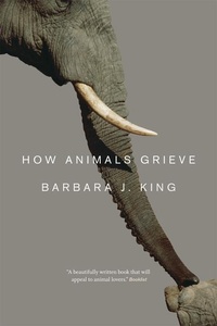 Enlarge image Cover: How Animals Grieve - University of Chicago Press