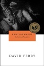 Cover: Bewilderment - University of Chicago Press