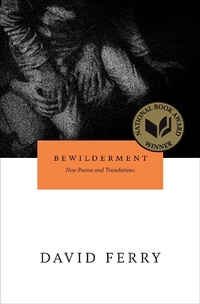 Enlarge image Cover: Bewilderment - University of Chicago Press