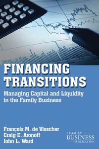 Enlarge image Cover: Financing Transitions - Palgrave MacMillan
