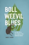 Cover: Boll Weevil Blues - University of Chicago Press