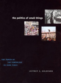 Enlarge image Cover: The Politics of Small Things - University of Chicago Press