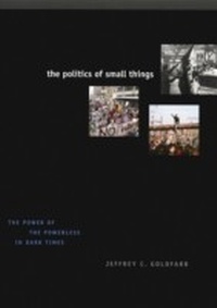 Enlarge image Cover: Politics of Small Things - University of Chicago Press