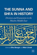 Cover: The Sunna and Shi'a in History - Palgrave MacMillan
