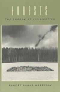 Enlarge image Cover: Forests - University of Chicago Press