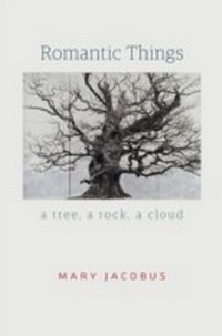 Enlarge image Cover: Romantic Things - University of Chicago Press