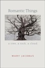 Cover: Romantic Things - University of Chicago Press