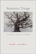 Cover: Romantic Things - University of Chicago Press
