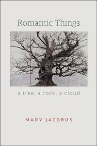Enlarge image Cover: Romantic Things - University of Chicago Press