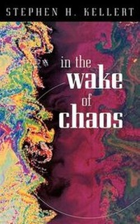 Abbildung von: In the Wake of Chaos - University of Chicago Press