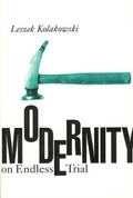 Cover: Modernity on Endless Trial - University of Chicago Press