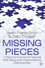 Cover: Missing Pieces - Palgrave Macmillan