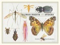 Cover: Illinois Insects and Spiders - University of Chicago Press