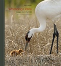 Cover: Whooping Crane - Texas A & M University Press