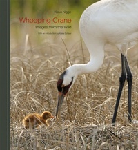 Enlarge image Cover: Whooping Crane - Texas A & M University Press
