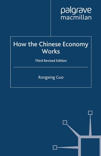 Enlarge image Cover: How the Chinese Economy Works - Palgrave Macmillan