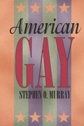 Cover: American Gay - University of Chicago Press