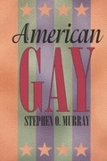 Cover: American Gay - University of Chicago Press