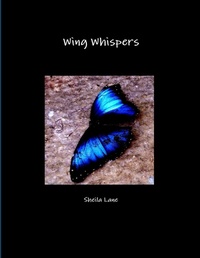 Enlarge image Cover: Wing Whispers - Lulu.com