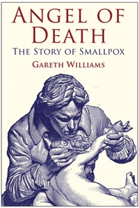 Enlarge image Cover: Angel of Death - Palgrave Macmillan