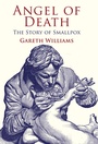 Cover: Angel of Death - Palgrave Macmillan