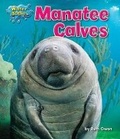 Cover: Manatee Calves - Bearport Books