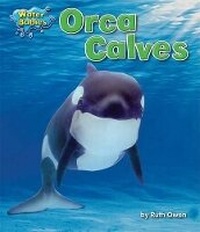 Enlarge image Cover: Orca Calves - Bearport Books