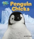 Cover: Penguin Chicks - Bearport Books